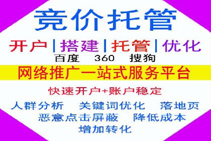 案例对比：不同竞价广告平台的优劣